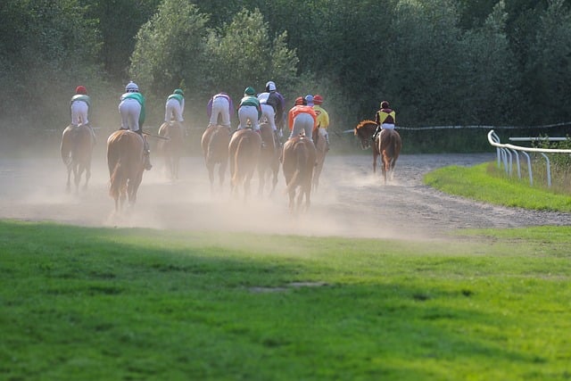 The Grand National 2024