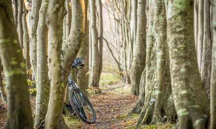 Bike Week 2024: A Celebration of Cycling and Community