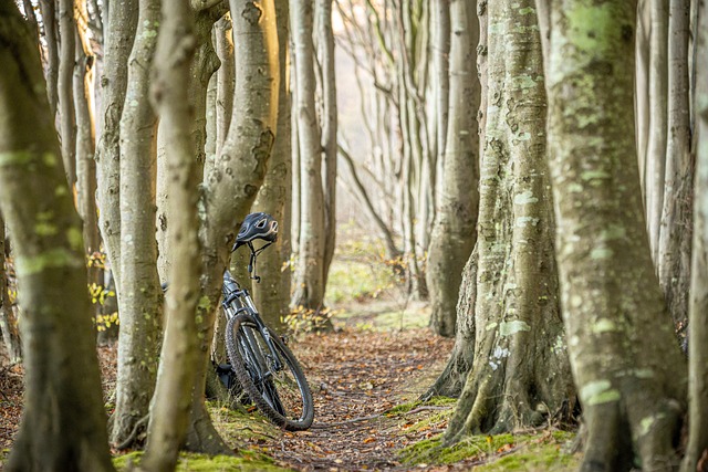 Bike Week 2024: A Celebration of Cycling and Community