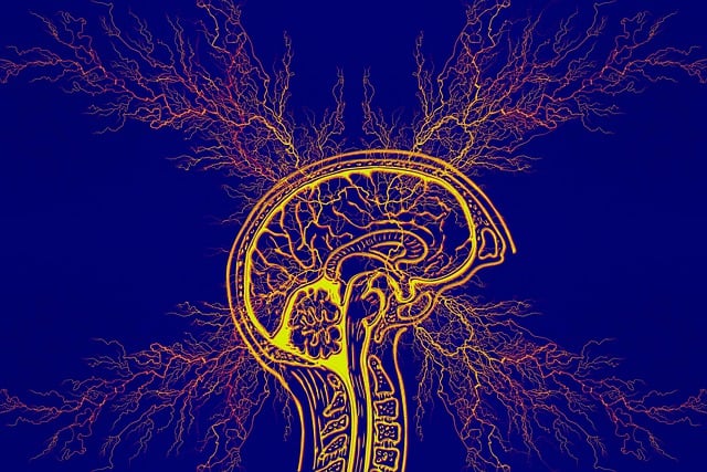 National Epilepsy Week 2024: Raising Awareness and Understanding