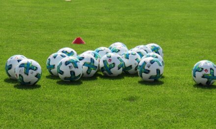 Bayer Leverkusen’s Historic 2023-2024 Season: A Comprehensive Review