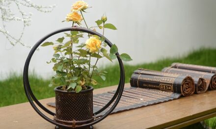 Chelsea Flower Show 2024: A Blossoming Celebration of Innovation and Tradition