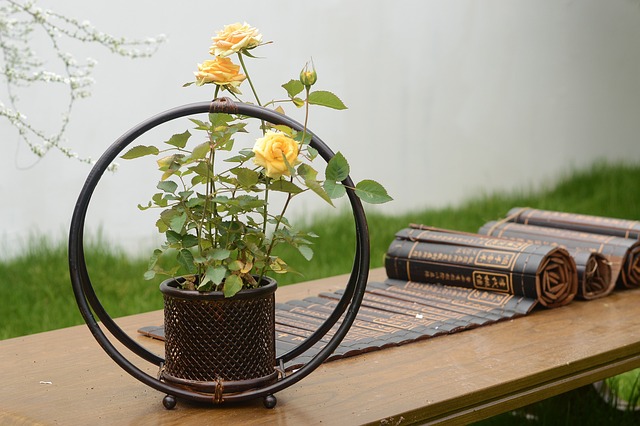 Chelsea Flower Show 2024: A Blossoming Celebration of Innovation and Tradition