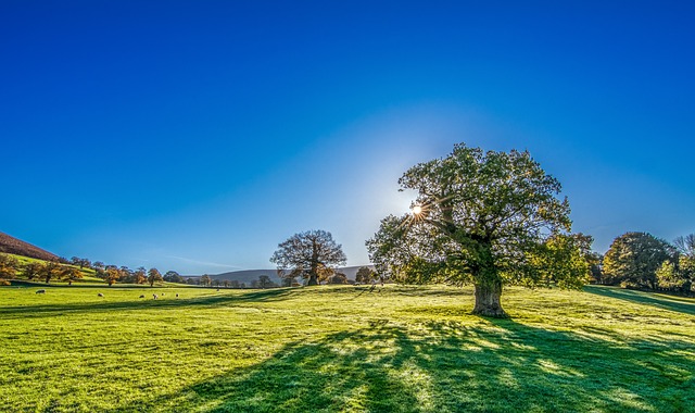 Yorkshire’s Golfing Delights: Exploring the Famous Golf Courses of England’s Largest County