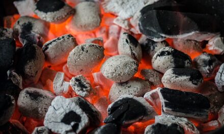 The Ultimate Guide to Hosting the Perfect BBQ