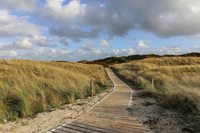 Exploring the Enigmatic North East: A 5-Day Road Trip Through England’s Hidden Gems