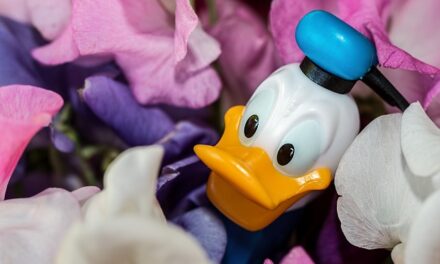 10 Unknown Facts About Donald Duck