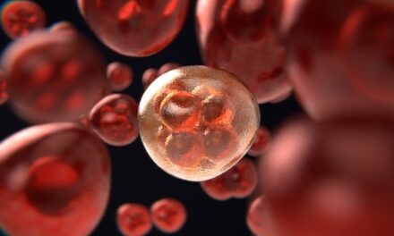 Understanding Prostate Cancer: Symptoms, Diagnosis, and Where to Get Checked in the UK