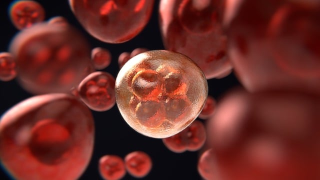 Understanding Prostate Cancer: Symptoms, Diagnosis, and Where to Get Checked in the UK