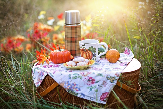 Celebrate the Great Outdoors: National Picnic Week 2024