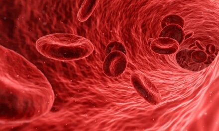 The Vital Role of O-Type Blood Donors and Where You Can Donate