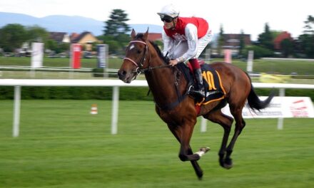Royal Ascot 2024: A Preview
