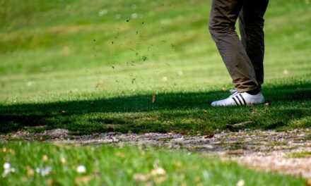 Rory McIlroy: A Golfing Phenomenon