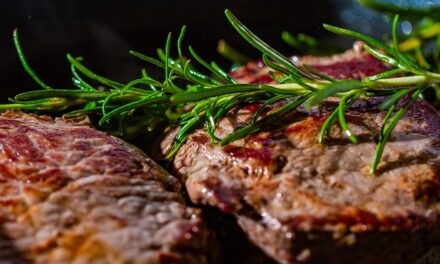 The Carnivore Diet: Why It’s Stirring Up Controversy