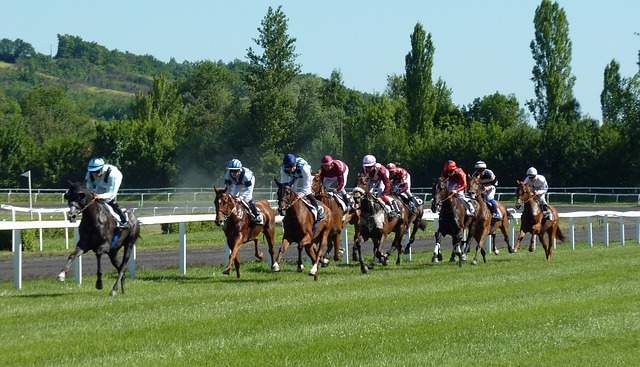 Horse Racing Tips for July 12, 2024