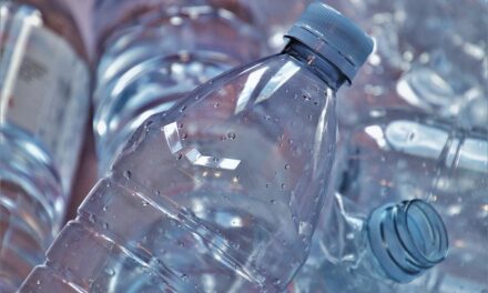 Plastic Free July 2024 in the UK: A Nationwide Movement Towards Sustainability