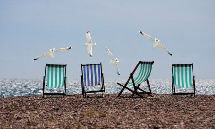 Discovering the Best Holiday Parks in Teesside