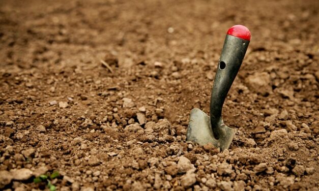 Festival of British Archaeology 2024: Celebrating Community and Heritage