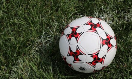 Opening Weekend of the 2024/25 EFL Championship: A Thrilling Start