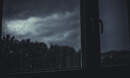 Understanding the UK Met Office Rainfall Warning: How to Prepare