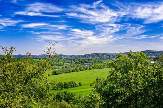 Top Safest Places to Live in the UK: Where Safety Meets Quality of Life