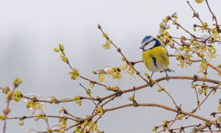 What are the Top Sights around the Midlands for November?