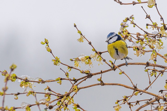 What are the Top Sights around the Midlands for November?