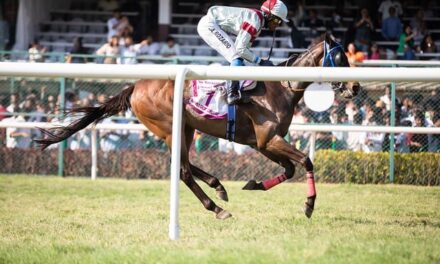 UK Horse Racing on Friday, 22nd November 2024: Meetings and Tips