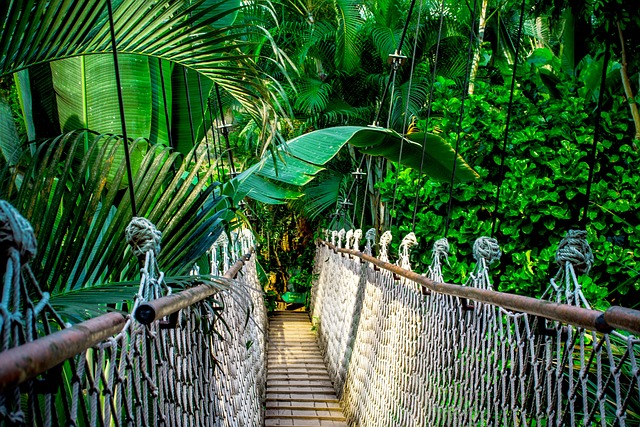 Emotional Stories and Jungle Struggles: A Recap of I’m a Celebrity… Get Me Out of Here! Day 6