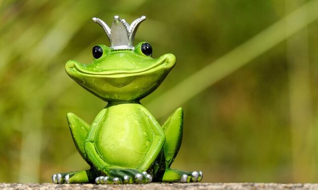 Some Great Jokes to Brighten up your Day….