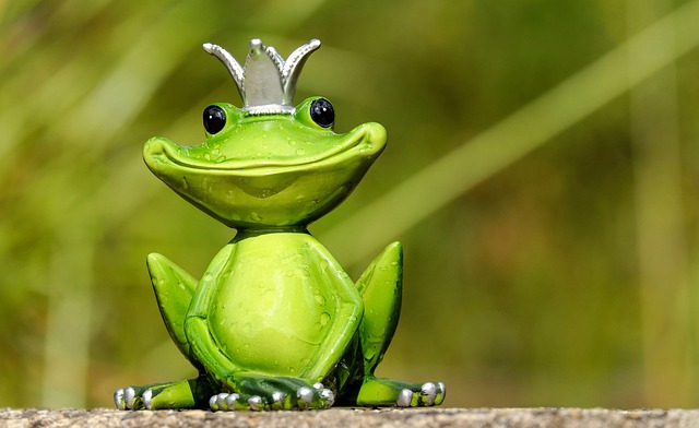 Some Great Jokes to Brighten up your Day….