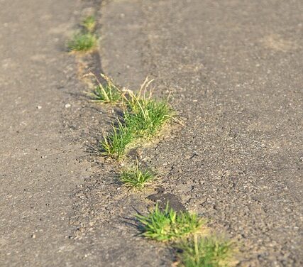 The True Cost of Potholes in the UK: A 2024 Perspective