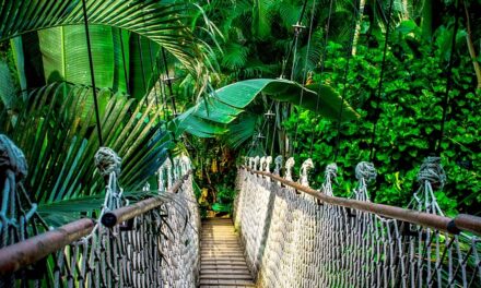 Heartfelt Moments and Jungle Drama: I’m a Celebrity… Get Me Out of Here! Day 7 Recap