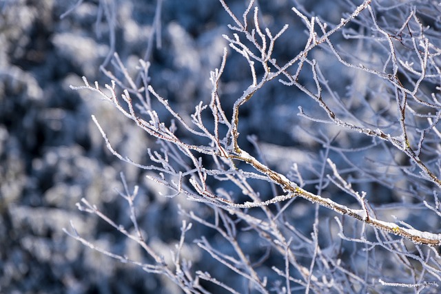 The Forgotten Heroes of the UK Who Work in Cold Conditions