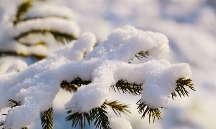 Severe Weather and Travel Disruptions Across the Midlands