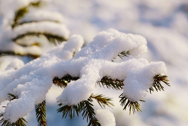 Severe Weather and Travel Disruptions Across the Midlands