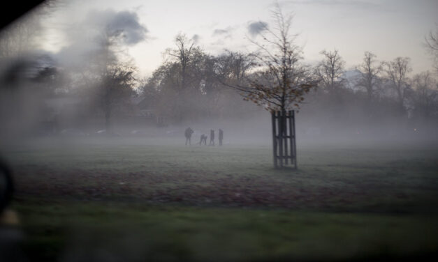 How can fog affect air travel?