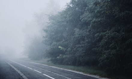 What is fog?