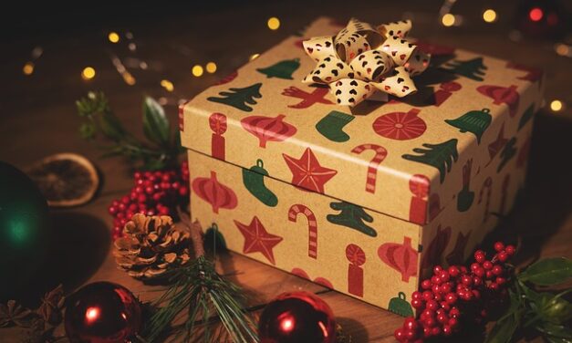The Best Breville Products for Christmas Gifts