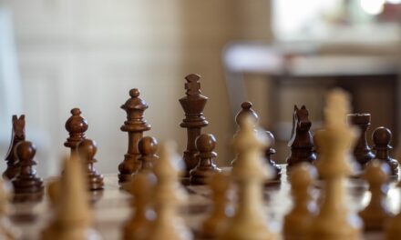 The Best Board Games of 2024: A Year of Creativity and Fun