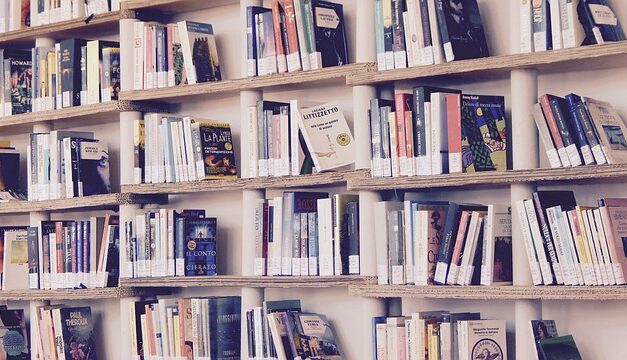 The Best-Selling Books of December 2024: A Celebration of Diverse Reads