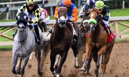 Horse Racing Highlights for Wednesday, January 1, 2025