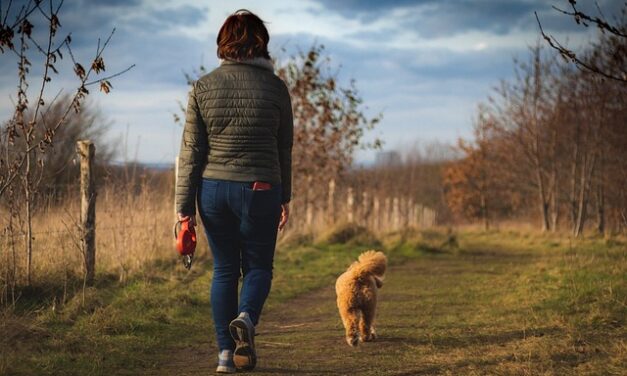 Steam Mill Lodges: A Serene Escape in the Heart of Derbyshire