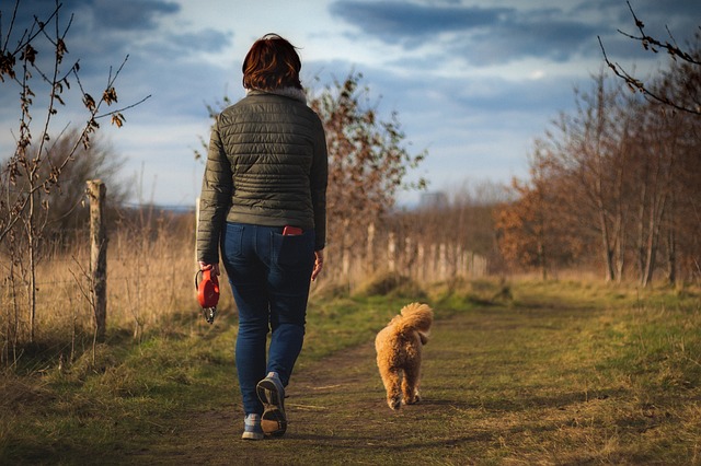 Steam Mill Lodges: A Serene Escape in the Heart of Derbyshire