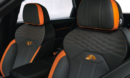 Inspired by China Bespoke collection by Mulliner