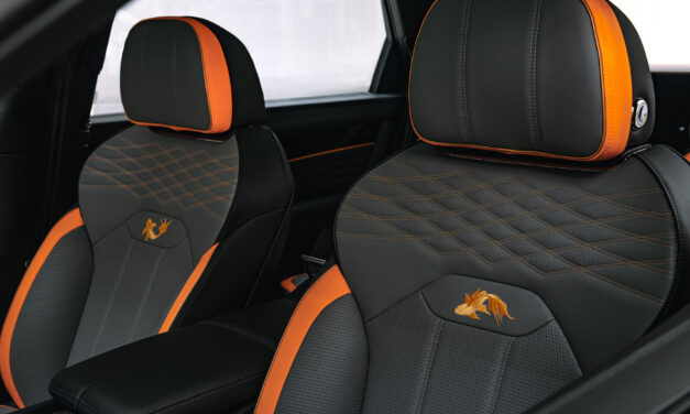 Inspired by China Bespoke collection by Mulliner