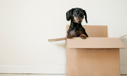Property expert issues warning ahead of stamp duty changes – this is how YOU could avoid paying more
