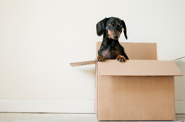 Property expert issues warning ahead of stamp duty changes – this is how YOU could avoid paying more