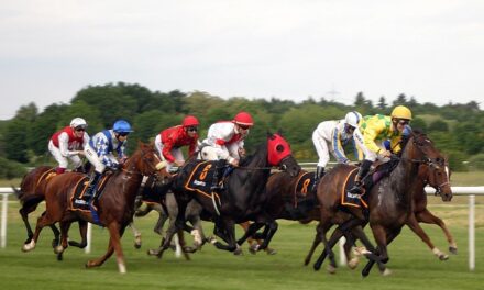Horse Racing Preview – Thursday, February 13, 2025