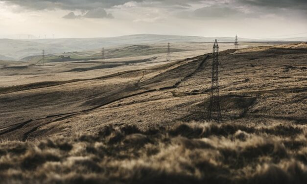 Little Eden Country Park: A Tranquil Retreat in Yorkshire